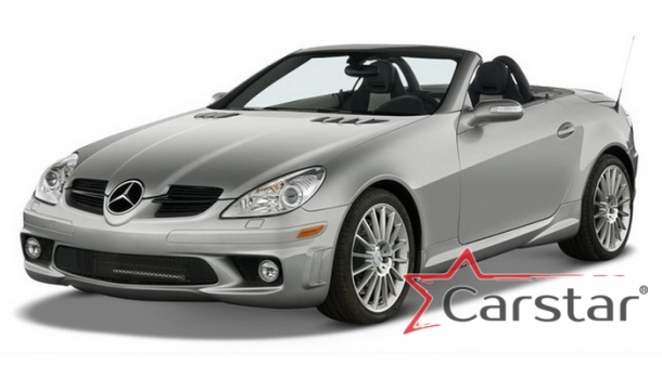 Автомобильные коврики EVA для Mercedes-Benz SLK-klasse II R171 (2004-2011)